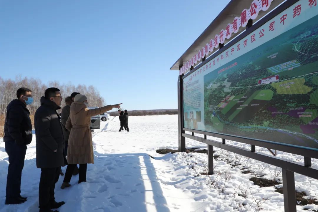 林甸县文化广电体育和旅游局新项目助力地方文化繁荣与旅游发展推进